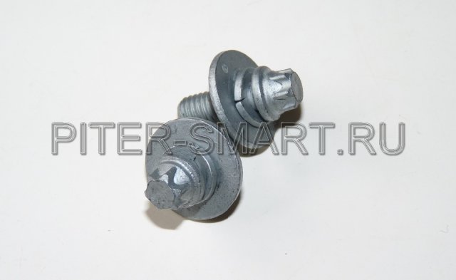     , OEM SMART