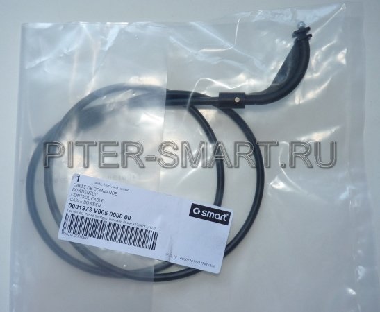      +  Smart  2007  , OEM SMART