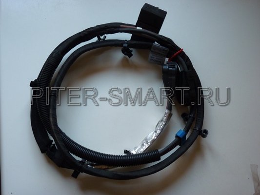   , 451, OEM SMART
